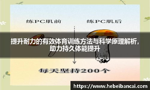 3377体育
